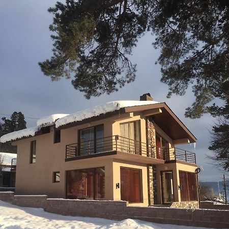 Villa Astoria Bakuriani Esterno foto