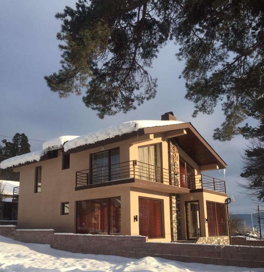 Villa Astoria Bakuriani Esterno foto